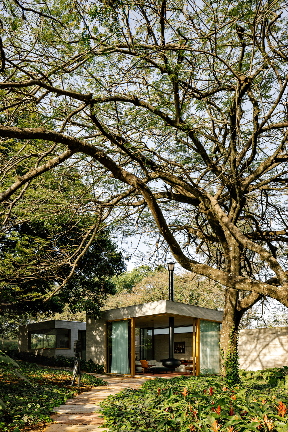 Casa Bosque | Forest House