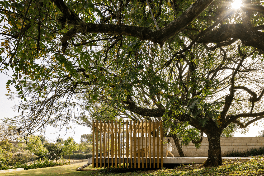 Casa Bosque | Forest House