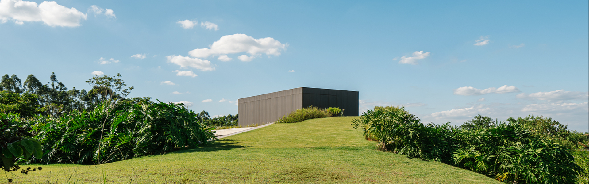 Casa Colina | Hill House